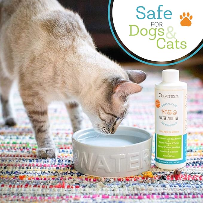Oxyfresh Premium Pet Dental Care Solution Pet Water Additive: Best Way to Eliminate Bad Dog Breath and Cat Bad Breath - Fights Tartar &amp; Plaque - So Easy, Just Add to Water! Vet Recommended 128 oz.