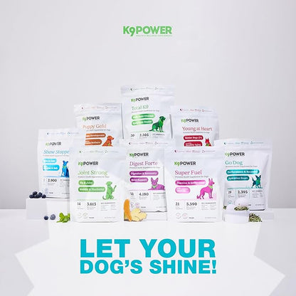 K9 Power Go Dog Hydration &amp; Performance Drink Mix 1 lb - Active Dog Supplement for Muscle Function, Endurance, Recovery, with Electrolytes Support