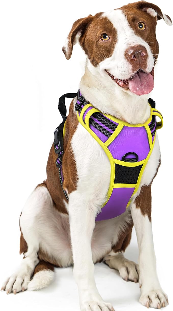 rabbitgoo Dog Harness No Pull with 2 Leash Clips, Adjustable Soft Padded, Reflective Oxford No Choke Pet Vest with Easy Control Handle for Large Dogs, Purple &amp; Yellow, L