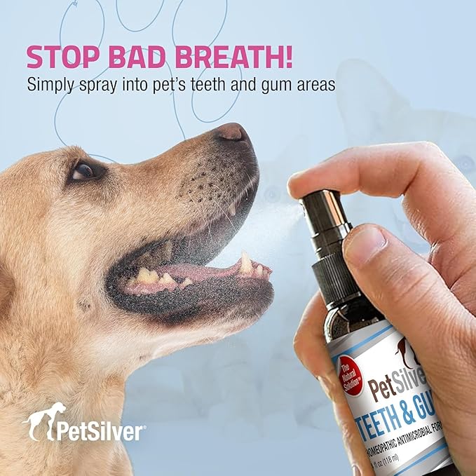 PetSilver Teeth &amp; Gum Spray - Dog Dental &amp; Teeth Cleaning Spray for Plaque &amp; Tartar Build-Up Reduction - Natural Breath Freshener for Dogs &amp; Cats - Patented Chelated Silver - Made in USA - 4oz, 2-Pack