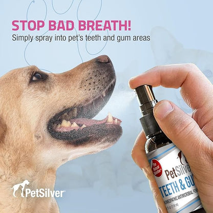 PetSilver Teeth &amp; Gum Spray - Dog Dental &amp; Teeth Cleaning Spray for Plaque &amp; Tartar Build-Up Reduction - Natural Breath Freshener for Dogs &amp; Cats - Patented Chelated Silver - Made in USA - 4oz, 2-Pack