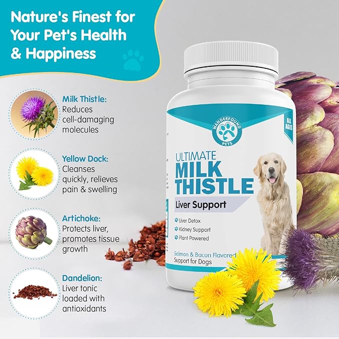 Wanderfound Pets Milk Thistle for Dogs – Tasty Salmon &amp; Bacon Flavored Natural Liver Support for Pets – Kidney Cleanse Detox &amp; Repair Formula Manufactured in The USA – 100 Chewable Tablets