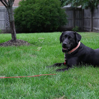 BV Dog Tie Out Cable 30 Feet - Heavy Duty Dog Lead Up to 125 Pounds - Reflective &amp; Rust-Free with Quick Release Swivel Clips &amp; 360° Rotating Clasp - Tangle-Free Dogs Runner for Yard (Red, Single)