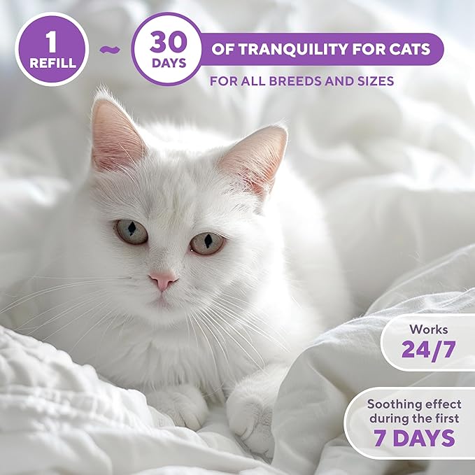 Beloved Pets Cat Calming Diffuser &amp; Pet Anti Anxiety Products - Feline Calm Pheromones Plug in &amp; Cats Stress Relief Comfort Helps with Pee, New Zone, Aggression (2 Pack (2 Diffusers + 2 Refills))