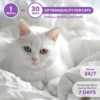Beloved Pets Cat Calming Diffuser &amp; Pet Anti Anxiety Products - Feline Calm Pheromones Plug in &amp; Cats Stress Relief Comfort Helps with Pee, New Zone, Aggression (2 Pack (2 Diffusers + 2 Refills))
