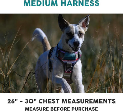 Embark Adventure Dog Harness, Reflective Trim No Pull Harness for Medium Sized Dog - Military Grade Nylon, Front Clip with Gel Lined Handle. Soft &amp; Padded Puppy