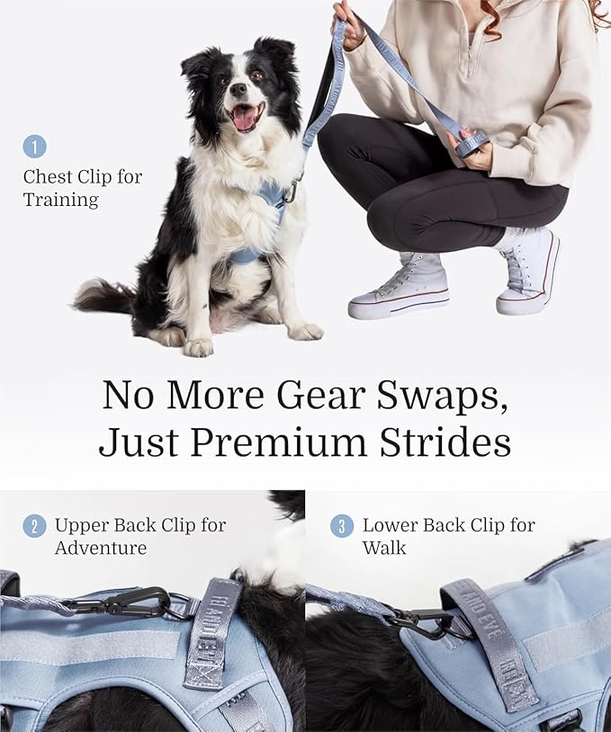 2025 New Edition, Fei &amp; Eve MagEase Dog Harness - 3-Second Magnetic Buckles | 3-Point No-Pull Control | Heavy-Duty 900D Nylon | Dual Safety Handles | Breathable Mesh | Adjustable Fit |Small, Blue