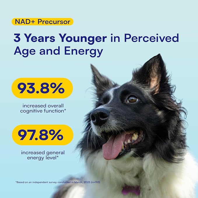 NAD+ Precursor &amp; Senior Dog Supplement - 90 Soft Chews &amp; Vitamins - NMN Alternative for Longevity, Anti-Aging &amp; Energy - Nicotinamide Riboside, Resveratrol, Quercetin, Made with Pasture-Raised Chicken