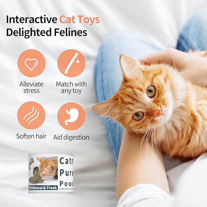 Premium Catnip for Cats &amp; Kittens – Cold-Processed, High Potency Nepetalactone, 100% Pure Leaf-Only Catnip for Toys, Scratchers, Refills, Stimulates Play &amp; Protects Furniture - 10g
