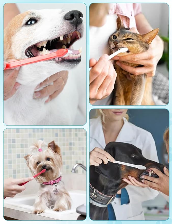 10 Pcs Dual-Headed Pet Toothbrush for Dogs &amp; Cats