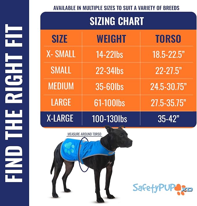 Dog Reflective Vest – Hi-Vis Fluorescent Visibility That Helps to Safeguard Your Pet On/Off Leash in Urban &amp; Rural Areas (Blue, X-Large)