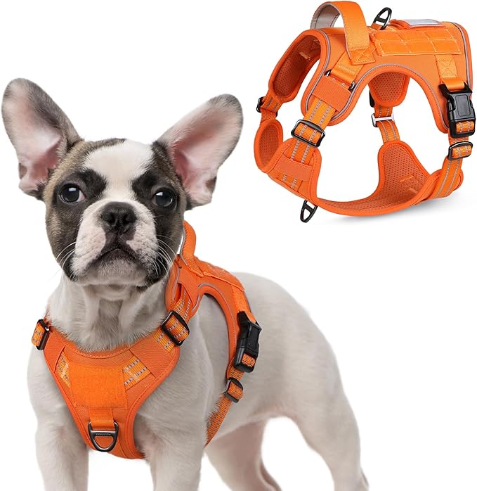rabbitgoo Tactical Dog Harness for Small Dogs, No Pull Military Service Vest with Handle &amp; Molle, Easy Control for Training Walking, Adjustable Reflective Straps, Orange, S