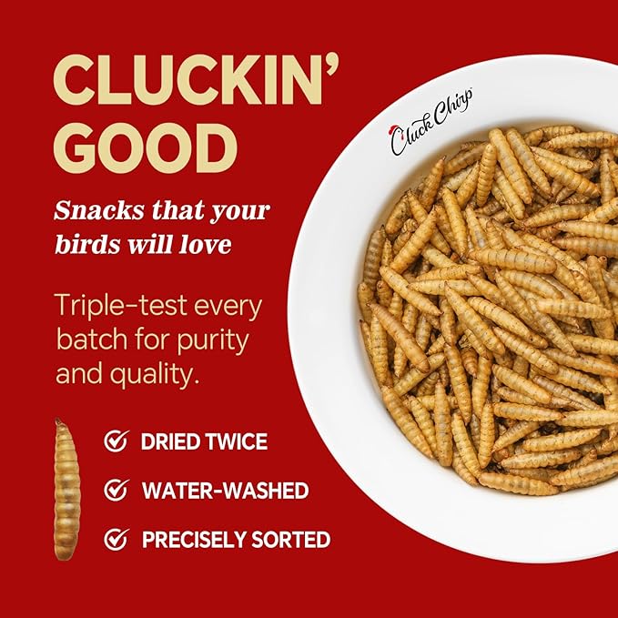 Dried Black Soldier Fly Larvae, Non-GMO, Natural Chicken Treats &amp; High-Protein Poultry Snacks for Backyard Chickens, Laying Hens &amp; Ducks, 5 lb Box
