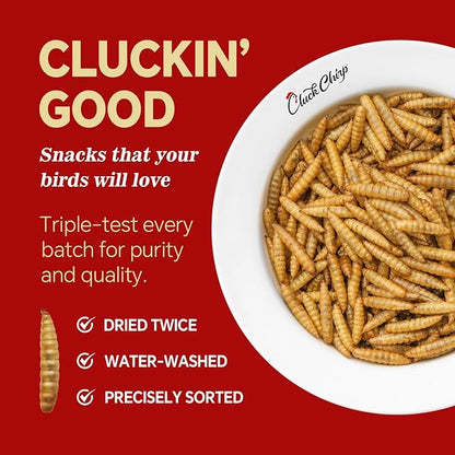 Dried Black Soldier Fly Larvae, Non-GMO, Natural Chicken Treats &amp; High-Protein Poultry Snacks for Backyard Chickens, Laying Hens &amp; Ducks, 5 lb Box