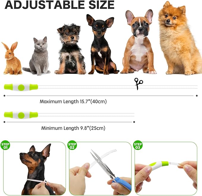 BSEEN Light Up Dog Collar - Rainproof Rechargeable LED Dog Collar - TPU Cuttable Glowing Pet Collar for Small Dogs&amp; Cats - Puppy Safety Dog Lights for Night Walking (XS- Green 40cm)