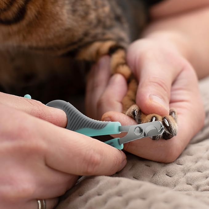 Mr. Pen Cat Nail Trimmer - Blue &amp; Gray, Cat &amp; Kitten Nail Clipper, Small Dog Nail Clipper