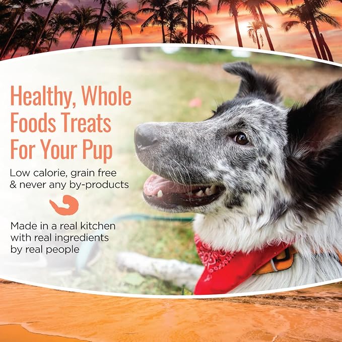 Smart Cookie All Natural Soft Dog Treats - Shrimp &amp; Coconut - Healthy Dog Treats for Allergies, Sensitive Stomachs - Chewy, Grain Free, Human-Grade, Made in The USA - 5oz Bag, 1 Pack