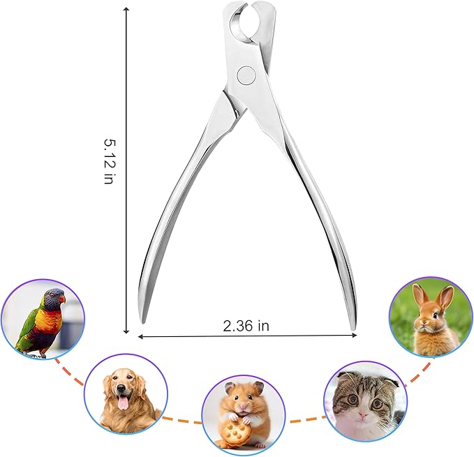 Cat Nail Clippers by,Small Breed Animals Claw Trimmer for a Cat, Puppy,Rabbit, Hamster, Birds, Kitten &amp; Small Dog,Parrots, Chinchillas, Guinea Pigs,Sharp &amp; Safe