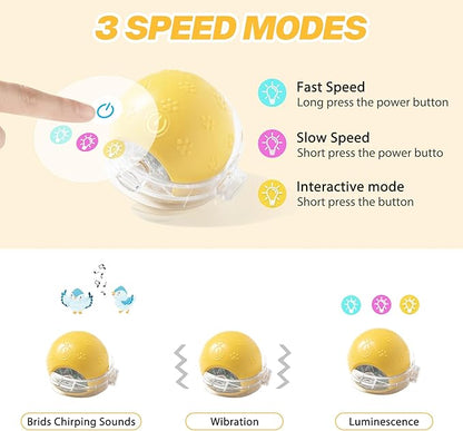 Interactive Cat Toys, Indoor Hide and Seek Toys, Fast Rolling Ball in Play Mat, Interactive Cat Toys for Indoor Cats, Rechargeable Cat Ball Toys