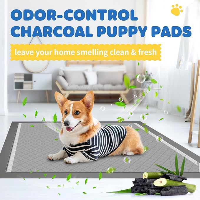 100-Pack X-Large Puppy Pads - 34&