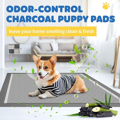 100-Pack X-Large Puppy Pads - 34&