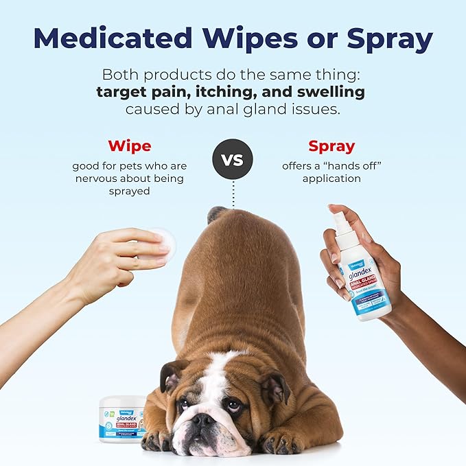 Vetnique Glandex Medicated Dog Butt Wipes or Spray for Dog Scooting - Topical Anti Itch Skin Relief for Soothing Inflamed Anal Glands in Dogs &amp; Cats - Fast Acting Formula (4oz Spray)