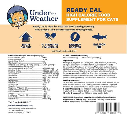 Under The Weather Pet | Ready Cal for Cats 100cc | High Calorie Supplement | Cat Weight Gainer and High Calorie Booster | 10 Vitamins, 7 Minerals &amp; Omega Fatty Acids (2 Pack)