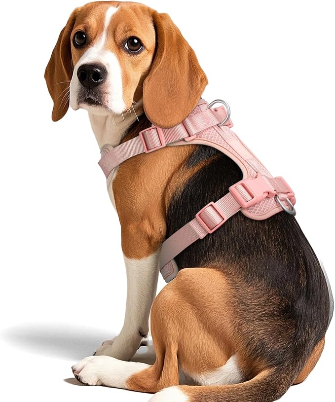 Wisedog Mesh Breathable Dog Harness: No Pull Harness with 3 Fast-Release Buckles Adjustable for Walking &amp; Training for Small Medium Large Dogs (Pink, S: Neck=14"-19"/Chest=13"-24")