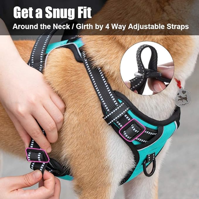 PoyPet No Pull Dog Harness, Reflective Comfortable Vest Harness with Front &amp; Back 2 Leash Attachments and Easy Control Handle Adjustable Soft Padded Pet Vest for Small to Large Dogs (Mint Blue,XS)