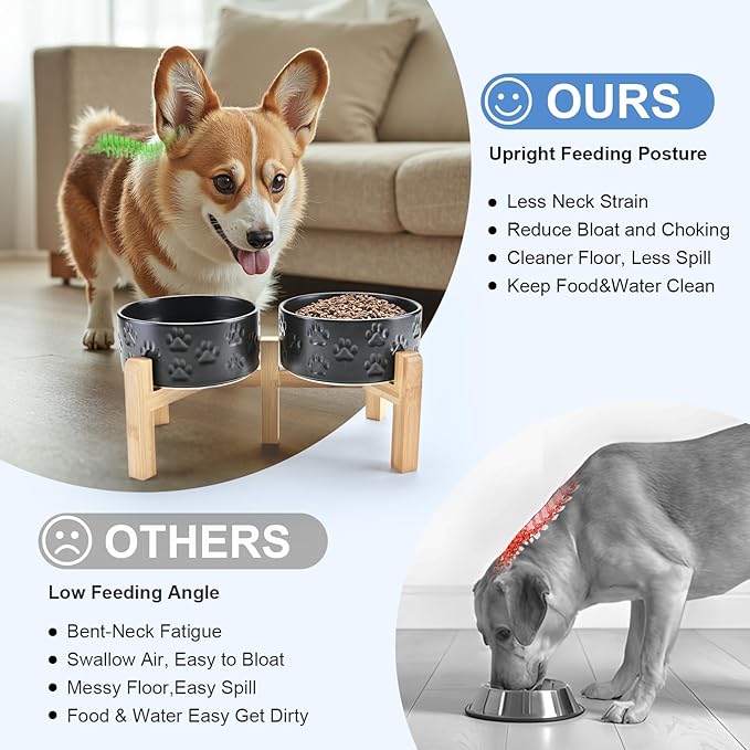 SPUNKYJUNKY Elevated Dog Bowls Ceramic, 6.1&