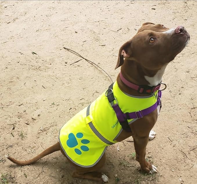 Dog Reflective Vest – Hi-Vis Fluorescent Visibility That Helps to Safeguard Your Pet On/Off Leash in Urban &amp; Rural Areas (Yellow, Large)