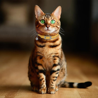OOPSDOGGY Rolled Leather Cat Collar with Bell, Reflective Kitten Collars with Buckle Include Safety Elastic Strap - Adjustable Small Pet Collars for Boy Girl Cats (Yellow)