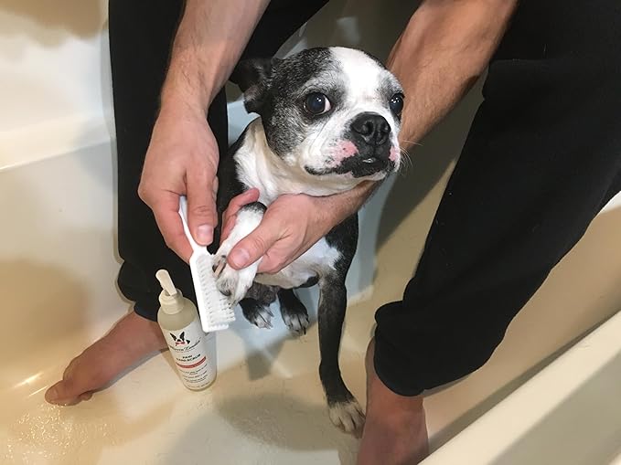 Warren London Paw Scrub – Deep Cleaning Paw &amp; Nail Cleanser with Aloe Vera – Removes Dirt &amp; Grime – Includes Scrub Brush – Made in USA - 8 oz