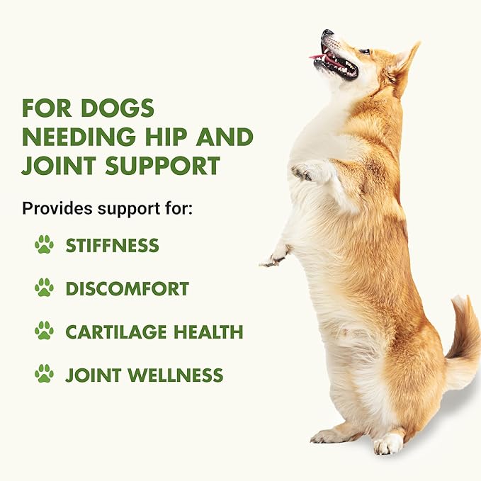 K9 Hip &amp; Joint Formula, Bacon Flavor, 16oz