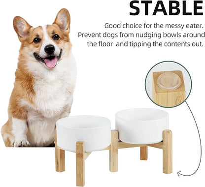 Ceramic Raised Double Bowls Set with Stand, 2 Heights Elevated, Food &amp; Water Bowls for Small Breed Dogs, Weighted Dog Dishes, Pet Bowl(6.1&