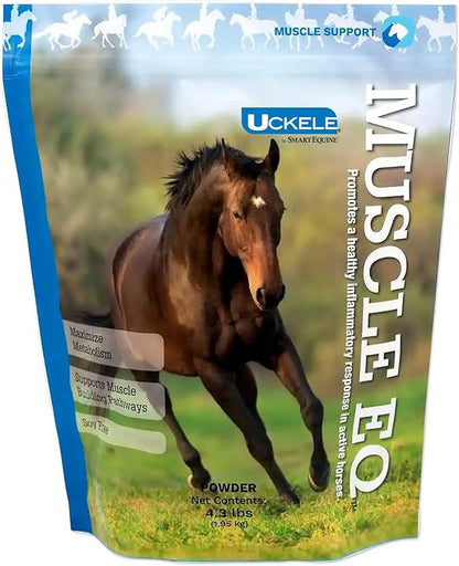 Uckele by SmartEquine Muscle EQ™ Powder | Muscle Supplement with L-Carnitine for Horses | Amino Acid Beta-Alanine for Optimal Muscle Function &amp; Supports Recovery | 4.3 lb Bag