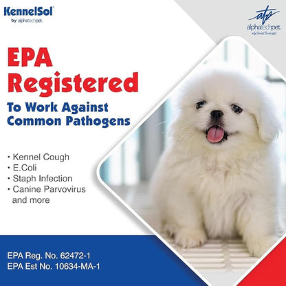 ATP KennelSol 1-Step Kennel Cleaner - 5 Gallons Liquid Disinfectant, Effective Against Bacteria and Viruses, Deodorizer Wintergreen Scent by Alpha Tech Pet