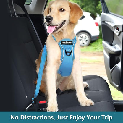 Dog Seat Belt Harness for Car, Dog Car Harness Adjustable Mesh Breathable &amp; Dogs Seatbelt Safety Tether with Elastic Bungee for Small Medium Large Pets(Blue, M)