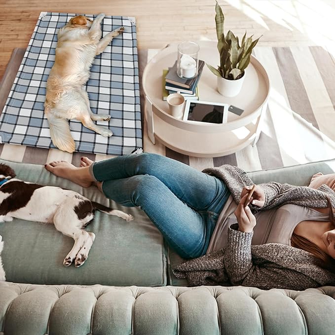 Elevated Outdoor Raised Dog Bed Outdoor Dogs Bed Lifted Pet Hammock Bed Dog Cot for Large Pet Taste Life, Start with A Pet Bed 39&