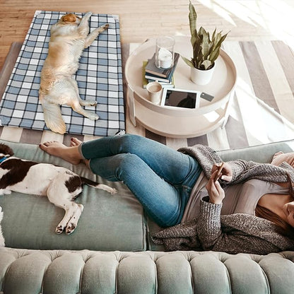 Elevated Outdoor Raised Dog Bed Outdoor Dogs Bed Lifted Pet Hammock Bed Dog Cot for Large Pet Taste Life, Start with A Pet Bed 39&