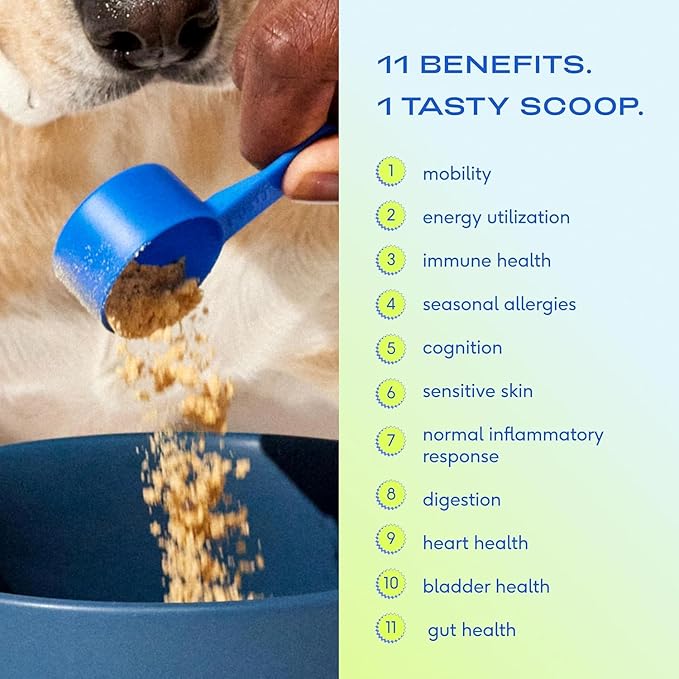 Native Pet Pack Leaders Bundle - Daily Dog Multivitamin (7 oz.) &amp; Omega Oil for Dogs (8 oz.) - Omega 3 Fish Oil for Healthy Skin, Shiny Coat, &amp; Strong Joints &amp; Daily Multivitamin for Dogs
