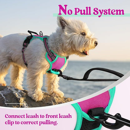 rabbitgoo Dog Harness No Pull with 2 Leash Clips, Adjustable Soft Padded, Reflective Oxford No Choke Pet Vest with Easy Control Handle for Large Dogs, Hot Pink &amp; Turquoise, XS