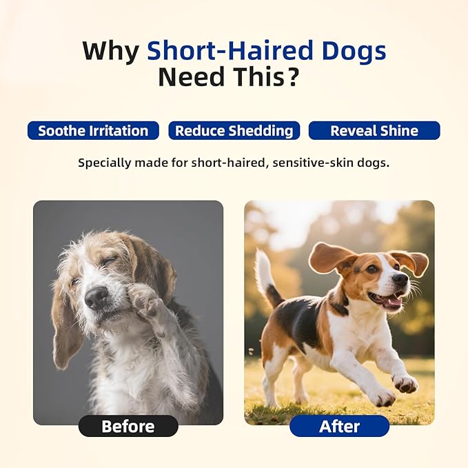 Unipaws Probiotics Dog Shampoo &amp; Conditioner Set for Short-Haired Coats – Itch Relief, Deodorizing &amp; Anti-Shedding for Skin Comfort &amp; Balance with Calendula – EWG Green, Made in Korea, 2×16.9 Fl Oz