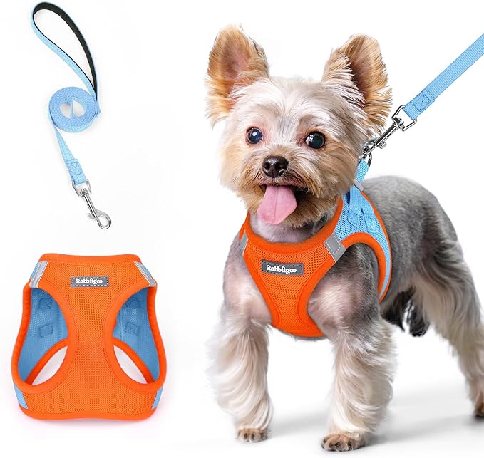 rabbitgoo Dog Harness Small Sized and Leash Set, Step in Soft Light Puppy Vest, Breathable Mesh Pet Harness, Reflective for Safe Easy Walking, Blue &amp; Orange XS