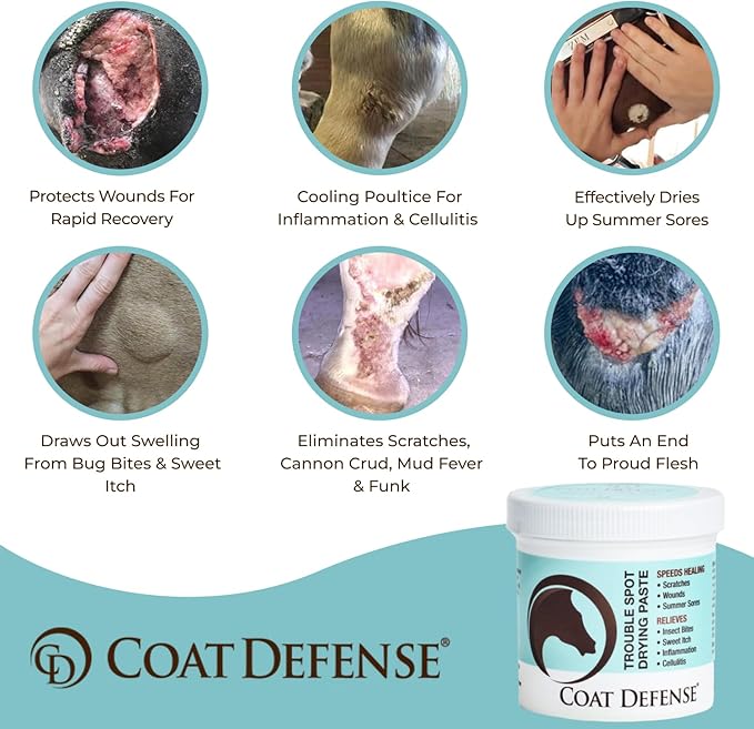 COAT DEFENSE Trouble Spot Drying Paste for Horses - Natural Equine Wound Care That Provides Safe &amp; Effective Relief from Scratches, Sweet Itch, Summer Sores, Proud Flesh, Mud Fever, Girth Rot (24 Oz)