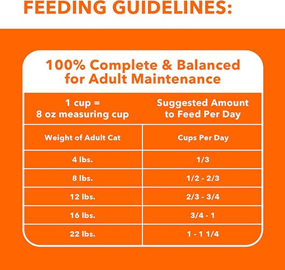 Iams IAMS PROACTIVE HEALTH Adult Sensitive Digestion &amp; Skin Dry Cat Food with Real Turkey Cat Kibble, 3 lb. Bag