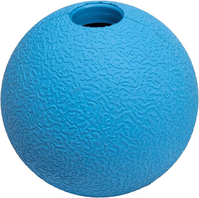 Amazon Basics Dog Toys, Interactive Fetch Rubber Balls, (Pack of 2), 3 inch, Blue, Orange