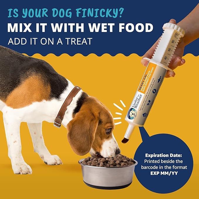 Under the Weather Pet | Ready Cal for Dogs 100cc | High Calorie Supplement | Dog Weight Gainer and High Calorie Booster | 10 Vitamins, 7 Minerals &amp; Omega Fatty Acids (2 Pack)