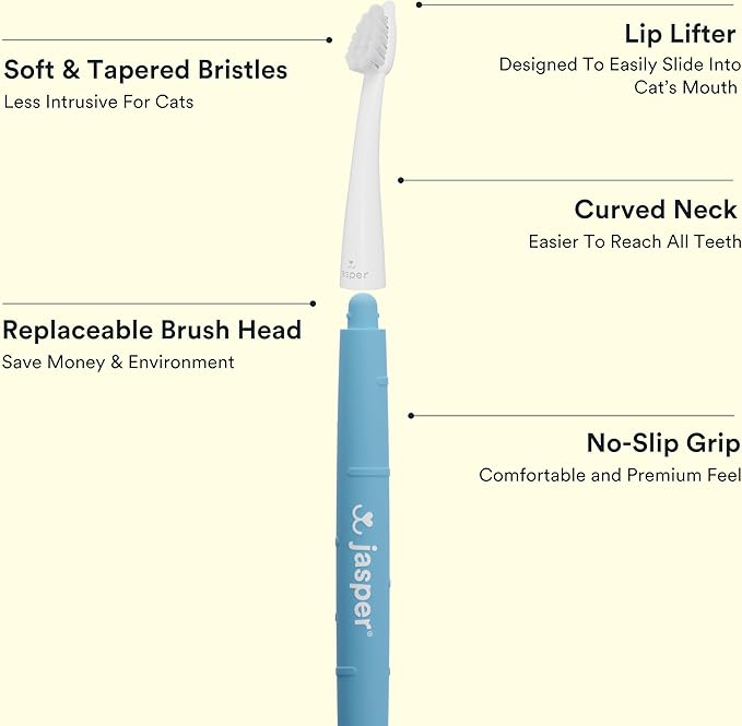 Jasper Microbrush Cat Toothbrush, Soft-Bristled Toothbrush Kit for Felines &amp; Small Dogs, Premium Non-Slip Handle with 2 Replaceable Tooth Brush Heads, Use with Cat Toothpaste