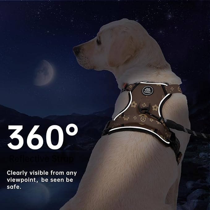 IVY&amp;LANE No Pull Dog Harness with Leash Set, Reflective No Choke Pet Vest,Adjustable Oxford Dog Vest Harness with Easy Control Handle for Large Dogs (Dark Brown,XL)